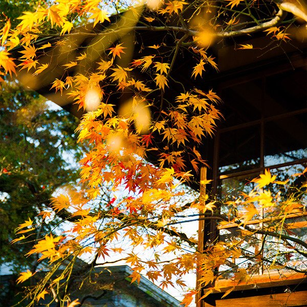 無鄰菴 京都市が所有する明治・大正の元老 山縣有朋の別荘 名勝 無鄰菴