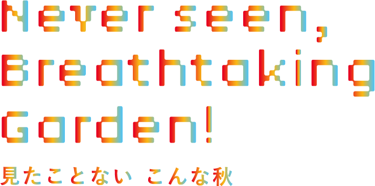 見たことない、こんな秋