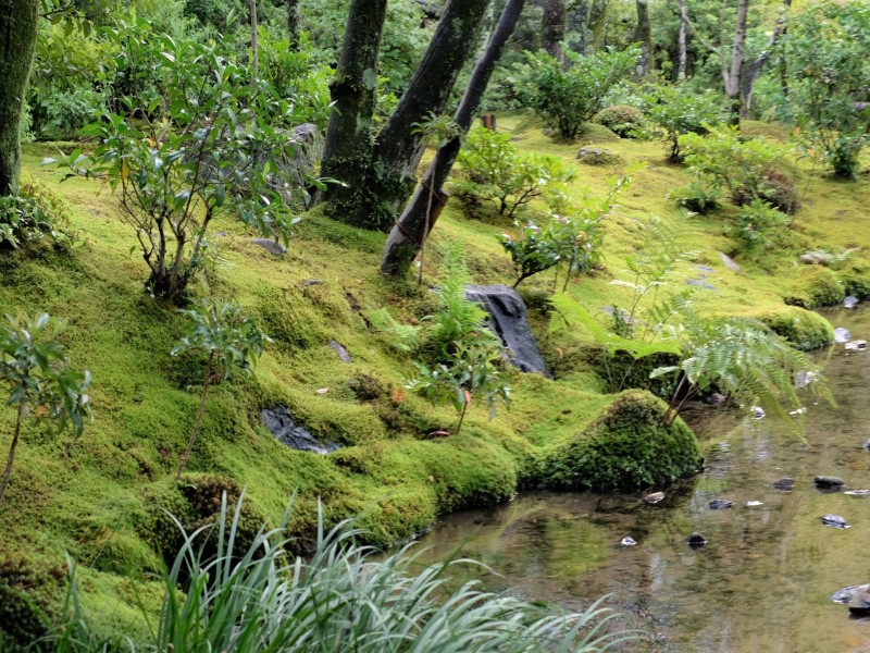 三段の滝から母屋方向を望んだ風景