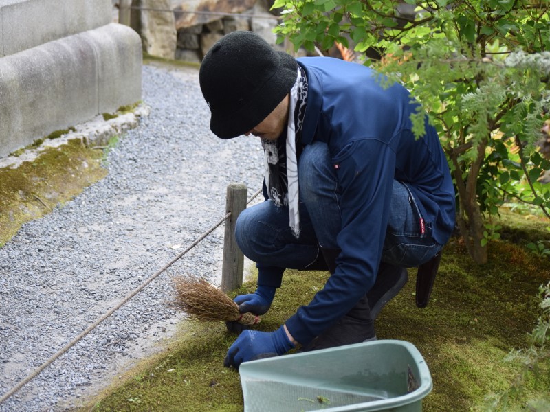 苔の状態を確認しながらのお手入れの様子