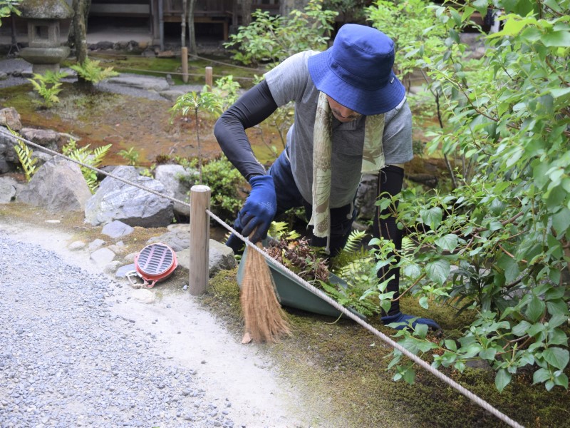 夏 苔の手入れ 静寂な苔とその癒し 京都 東山 南禅寺界隈の傑作日本庭園 名勝無鄰菴