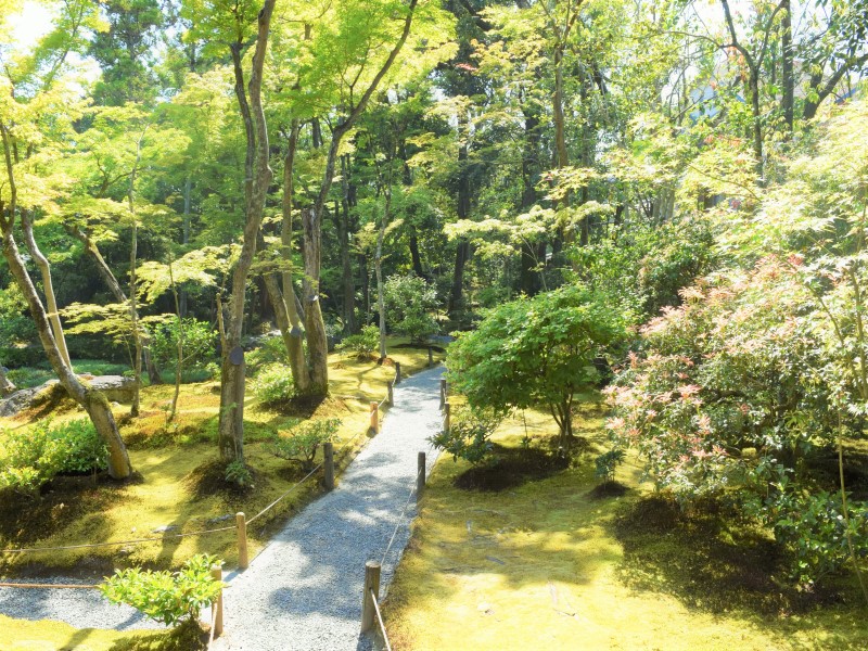 三段の滝へ続く園路の風景