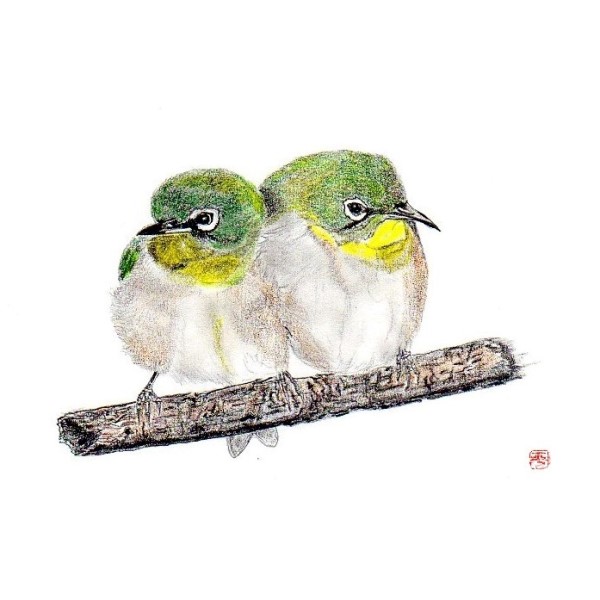 「野鳥ミニ講座」