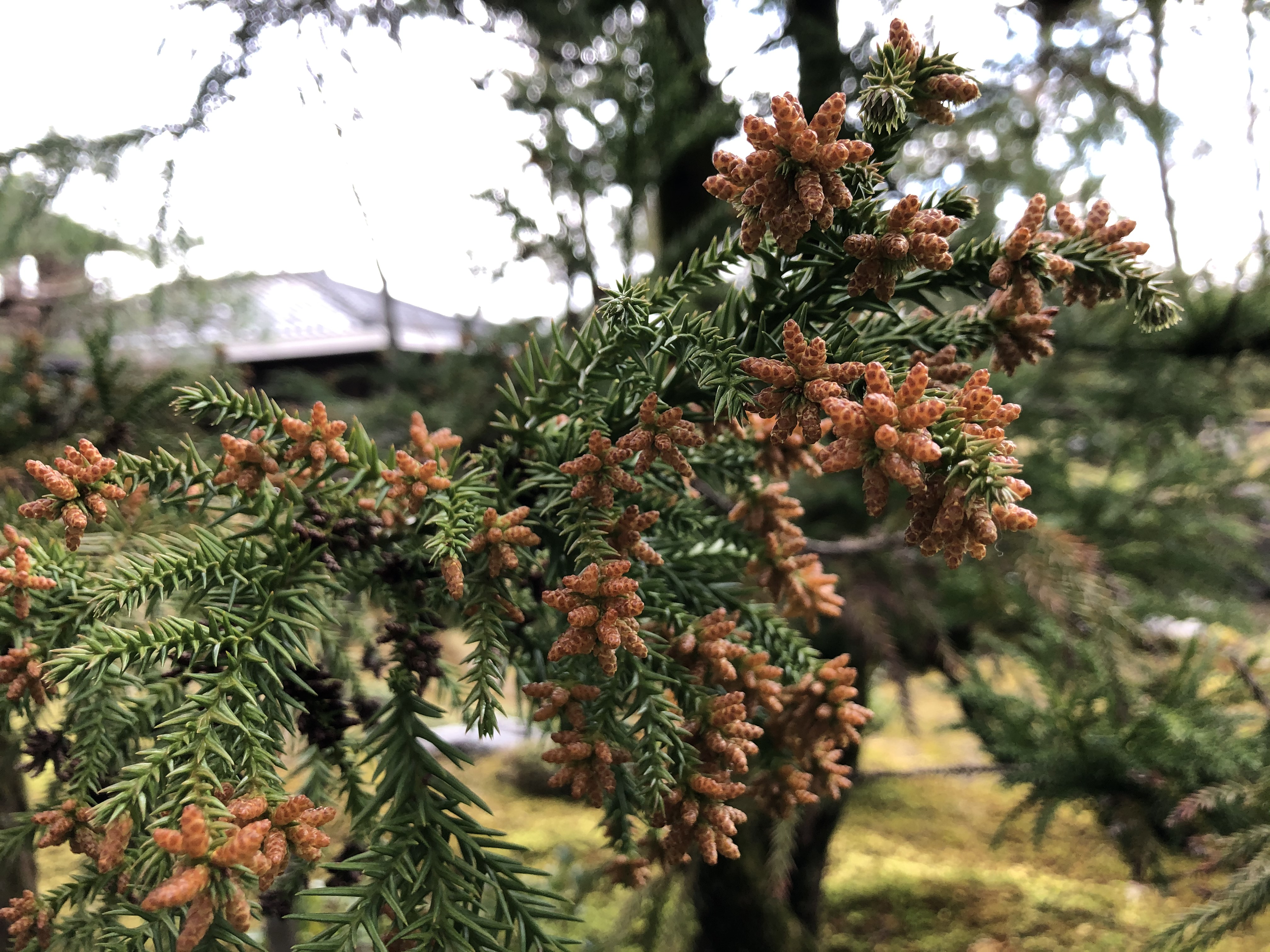 濱坂作業風景