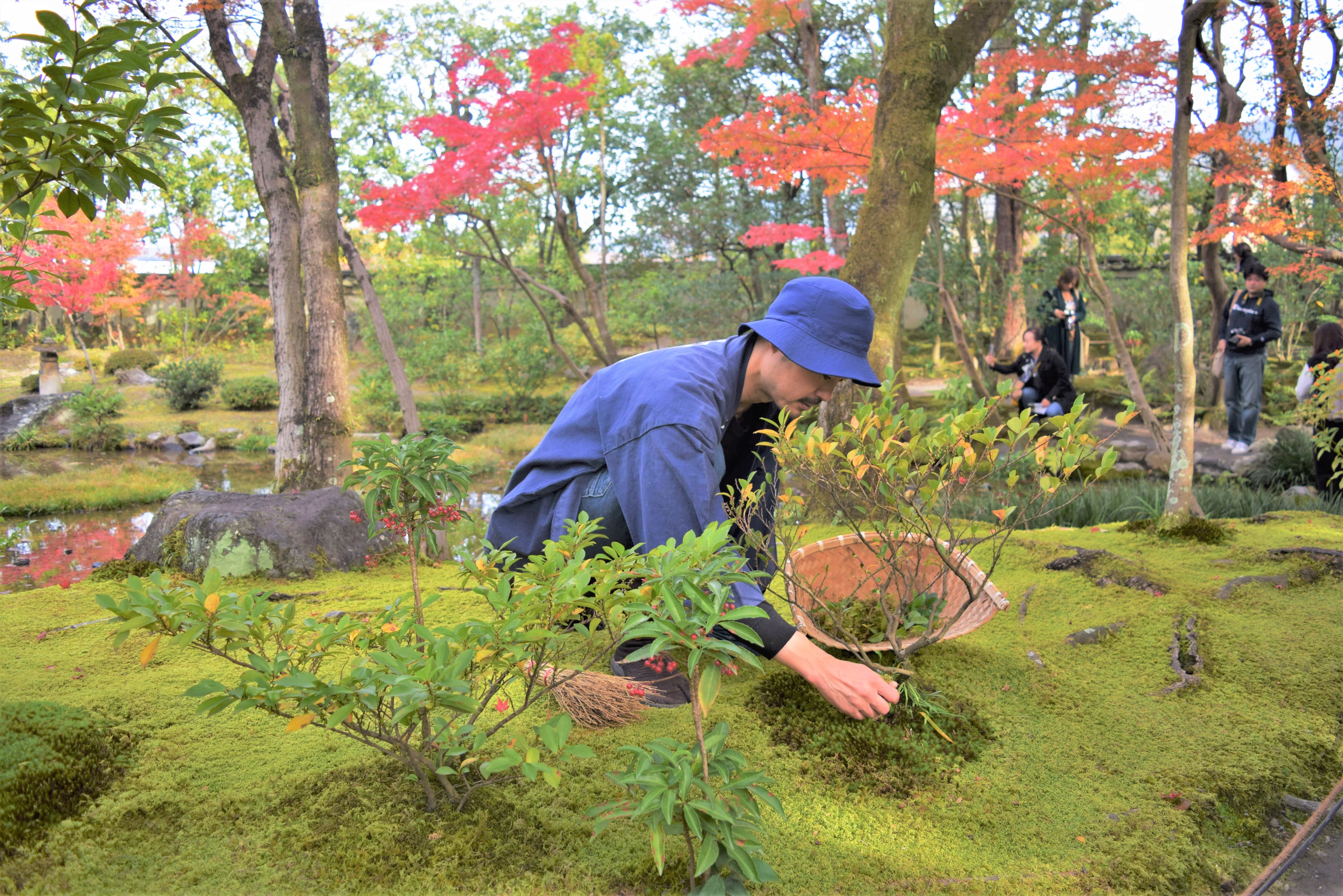 お手本