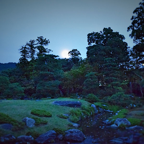 東山の名月を密やかにながめる会　 京都の別荘庭園で夜カフェをどうぞ。
