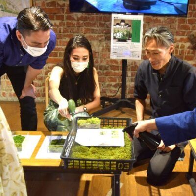 モスモスな苔にさわる！→お庭で観察会。(6月)