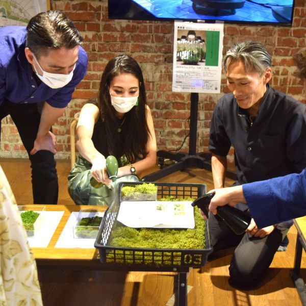 モスモスな苔にさわる