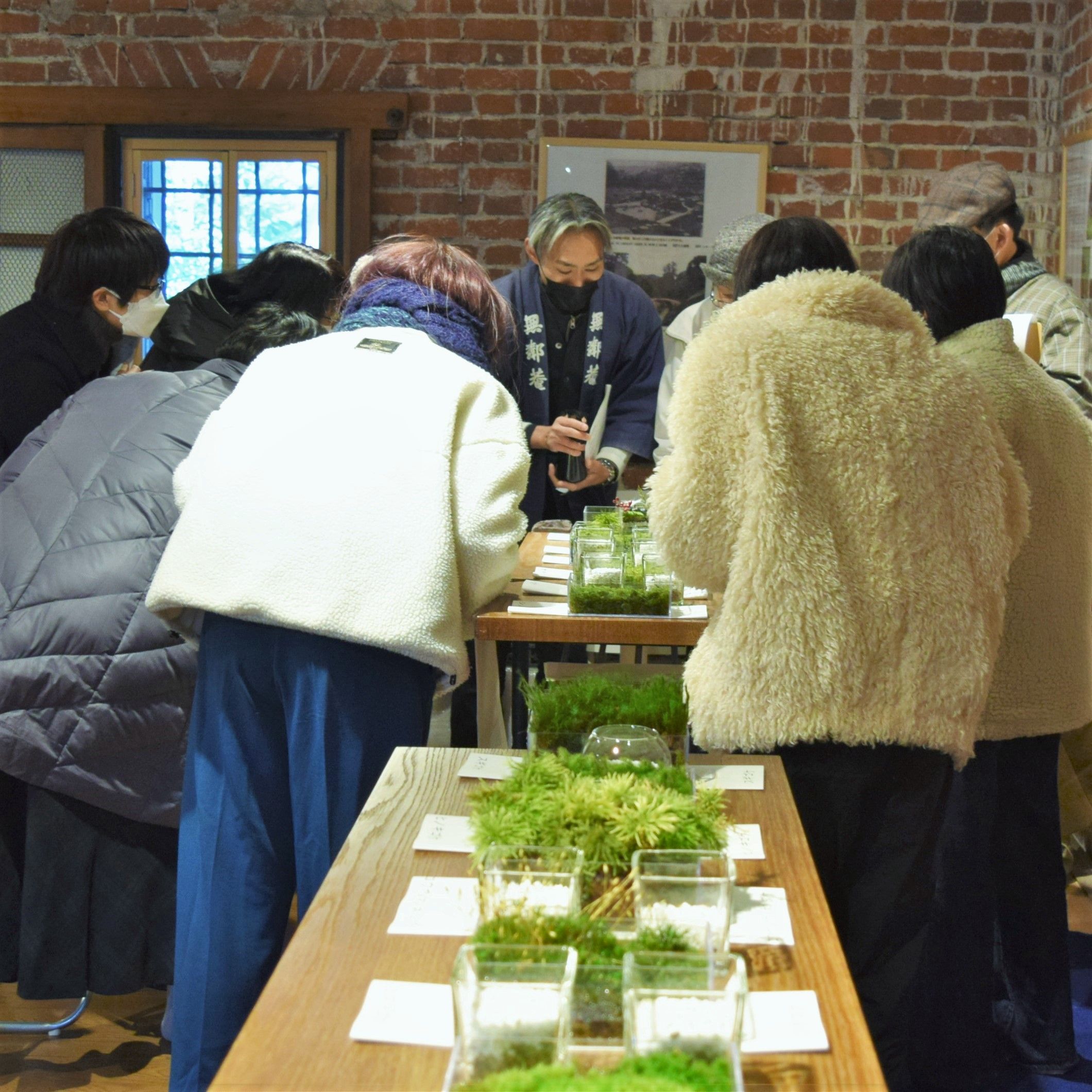 モスモスな苔にさわる