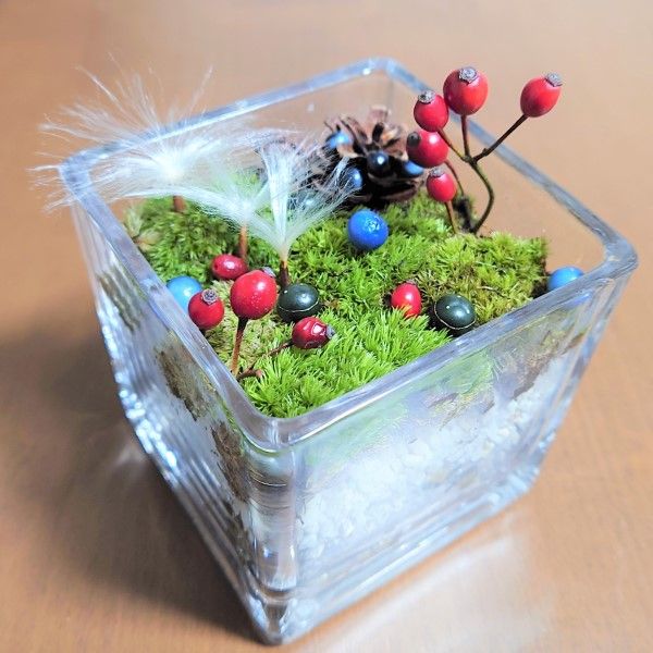 モスモスな苔にさわる